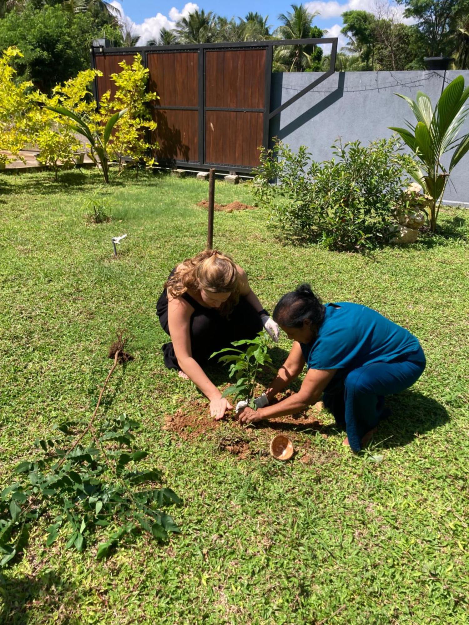 Amba Kola Udawalawa Hotel Udawalawe Buitenkant foto