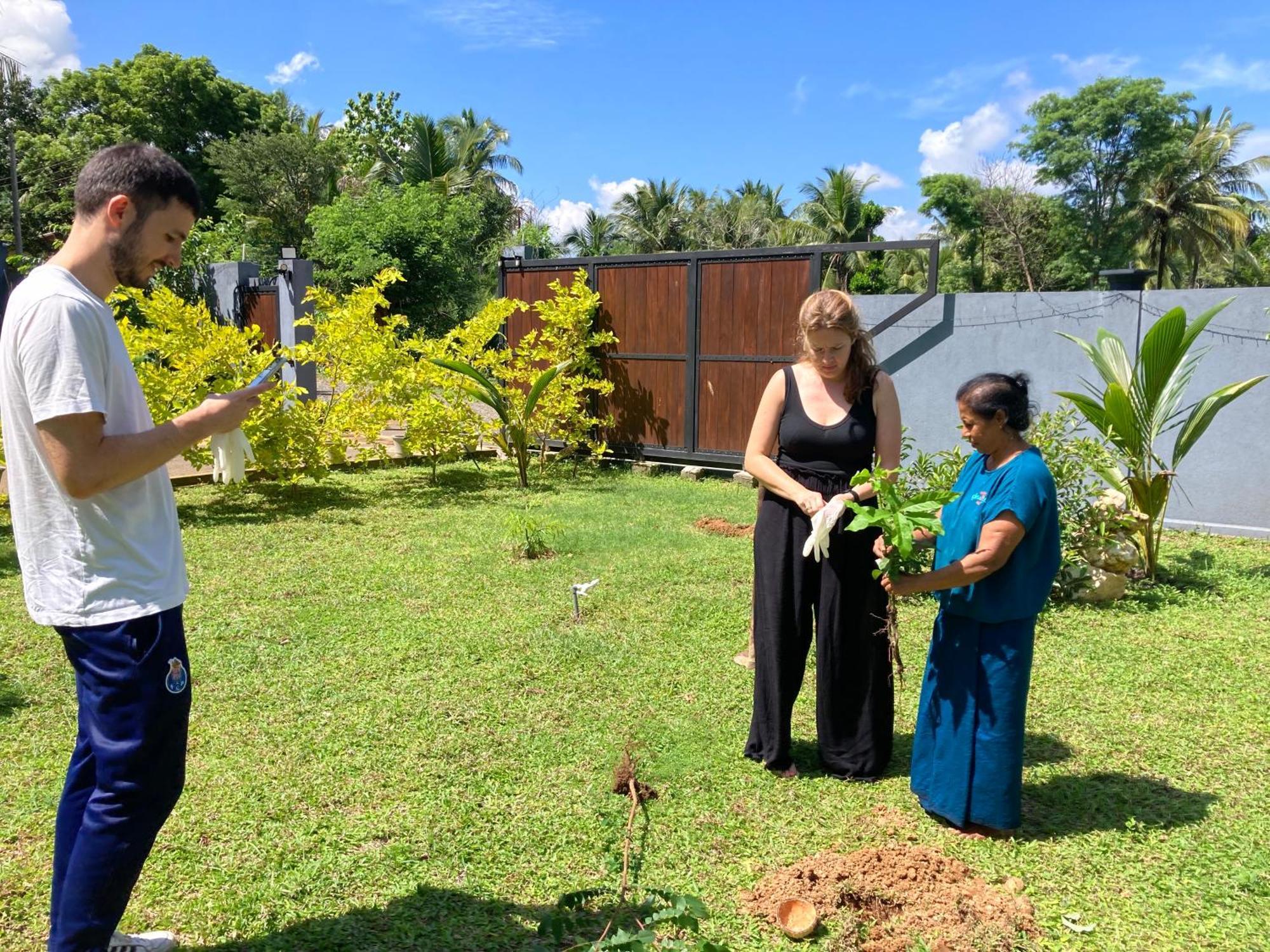 Amba Kola Udawalawa Hotel Udawalawe Buitenkant foto