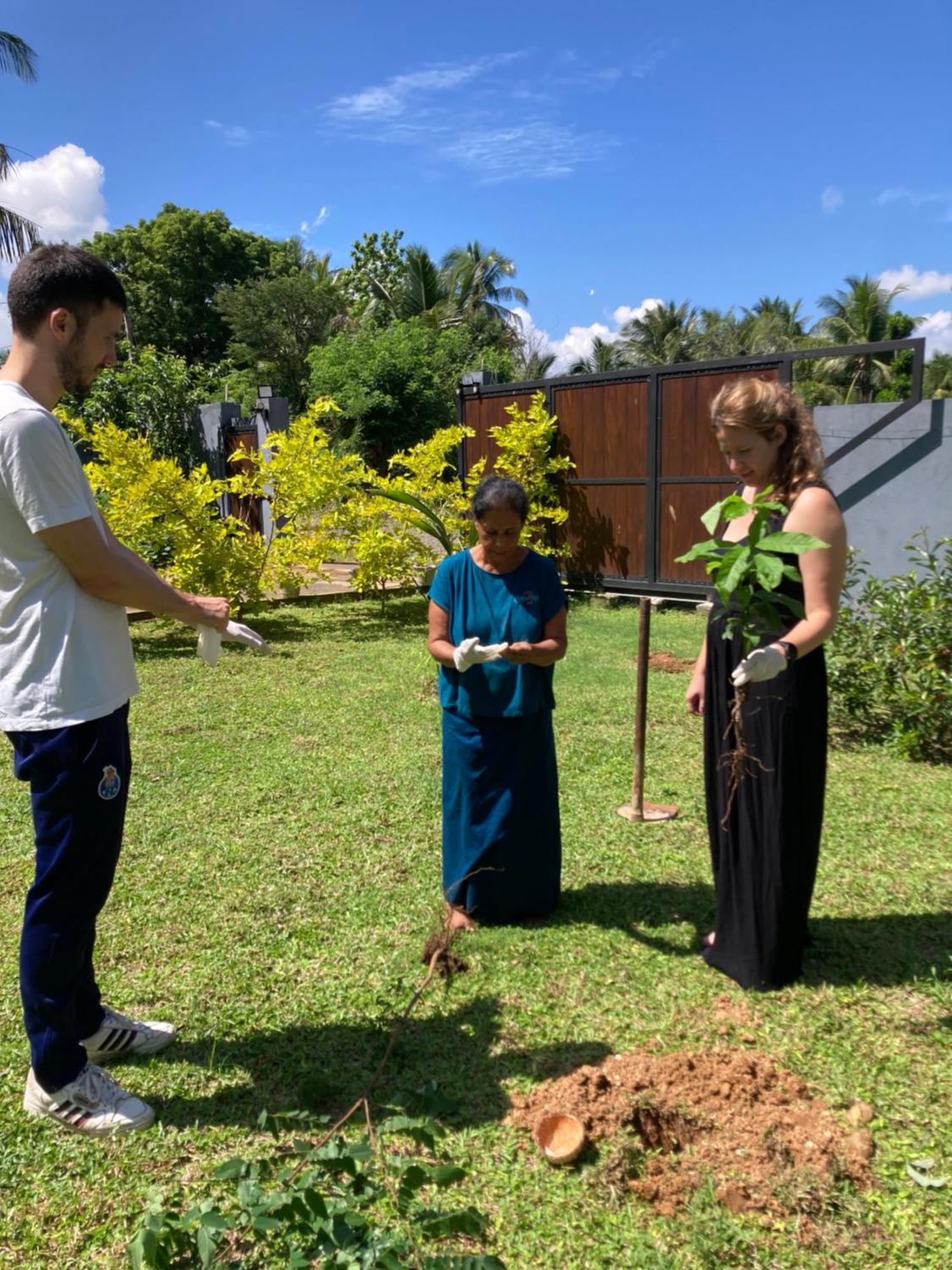Amba Kola Udawalawa Hotel Udawalawe Buitenkant foto
